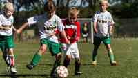 Børnefodbold på Fyn: Hvad synes du?